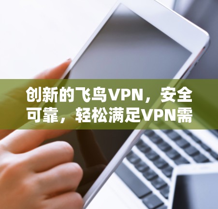 创新的飞鸟VPN，安全可靠，轻松满足VPN需求