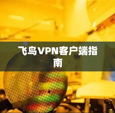 飞鸟VPN客户端指南