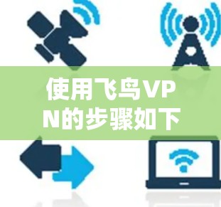 使用飞鸟VPN的步骤如下