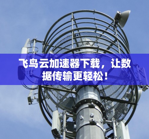 飞鸟云加速器下载,让数据传输更轻松! 飞鸟云加速器下载,让数据传输更轻松!