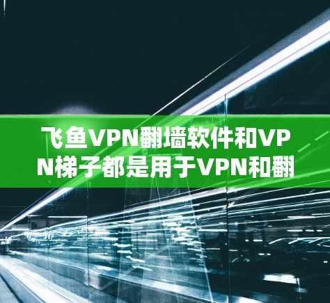 飞鱼VPN翻墙软件和VPN梯子都是用于VPN和翻墙的工具,但它们的功能、适用场景和使用体验有所不同。以下是对它们的评测和对比 飞鱼VPN翻墙软件和VPN梯子都是用于VPN和翻墙的工具,但它们的功能、适用场景和使用体验有所不同。以下是对它们的评测和对比