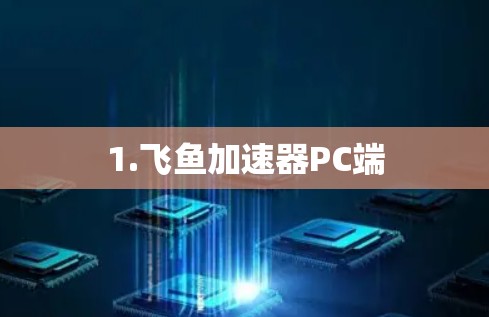 1.飞鱼加速器PC端 1.飞鱼加速器PC端