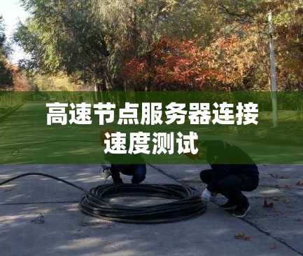 高速节点服务器连接速度测试