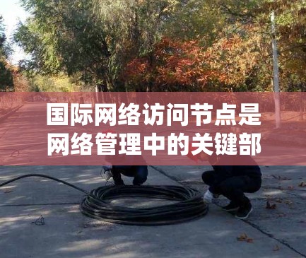 国际网络访问节点是网络管理中的关键部分,负责连接和管理国际互联网和本地网络之间的数据传输。以下是对国际网络访问节点的详细总结 国际网络访问节点是网络管理中的关键部分,负责连接和管理国际互联网和本地网络之间的数据传输。以下是对国际网络访问节点的详细总结