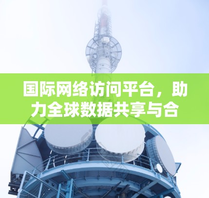 国际网络访问平台，助力全球数据共享与合作