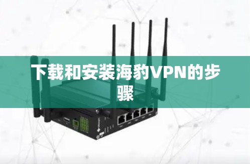 下载和安装海豹VPN的步骤 下载和安装海豹VPN的步骤