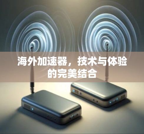 海外加速器，技术与体验的完美结合