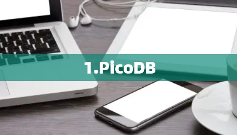 1.PicoDB