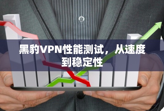 黑豹VPN性能测试,从速度到稳定性 黑豹VPN性能测试,从速度到稳定性