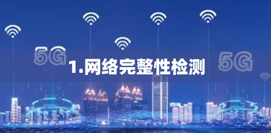1.网络完整性检测