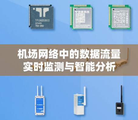 机场网络中的数据流量实时监测与智能分析 机场网络中的数据流量实时监测与智能分析