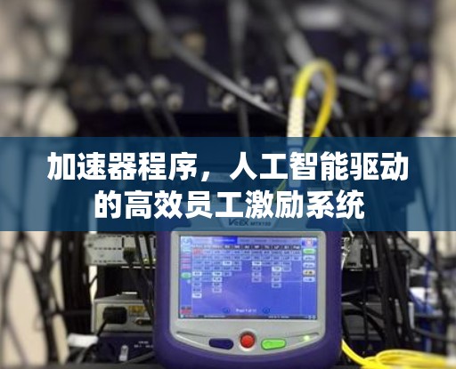 加速器程序,人工智能驱动的高效员工激励系统