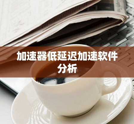 加速器低延迟加速软件分析 加速器低延迟加速软件分析