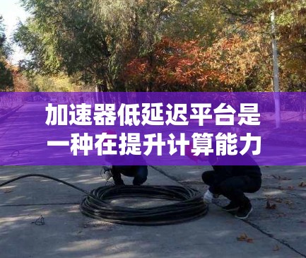 加速器低延迟平台是一种在提升计算能力和效率方面特别设计的硬件和软件组合，旨在在处理任务时更快速、更高效。以下是对该主题的分步总结和解释