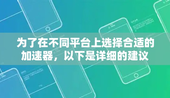 为了在不同平台上选择合适的加速器，以下是详细的建议