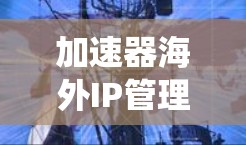 加速器海外IP管理是一个涉及在网络加速器上管理国际IP地址的系统。以下是对该主题的详细分析和总结