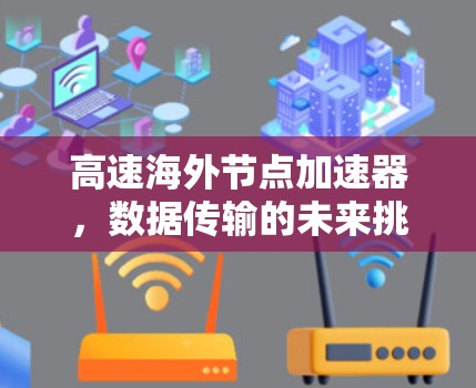 高速海外节点加速器，数据传输的未来挑战与解决方案