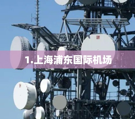 1.上海浦东国际机场 1.上海浦东国际机场